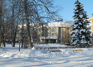 Новый год в Парк-отеле «Воздвиженское» 4*