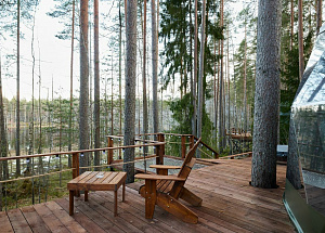 SPA-глэмпинг «Forest Lake» 